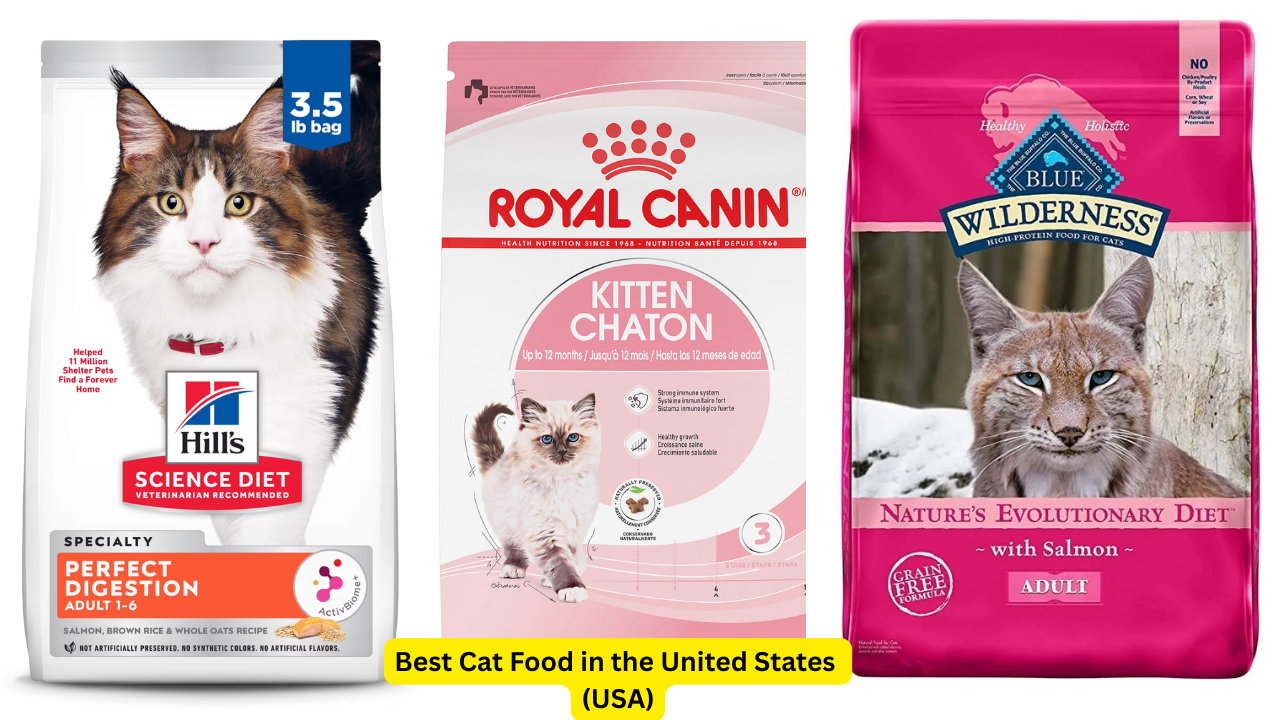 Best Cat Food in the United States (USA) – Top Brands & Expert Picks