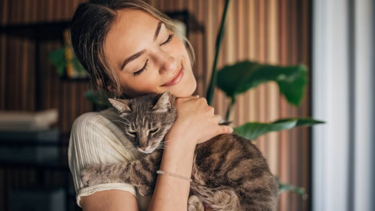 7 Cat Breeds That Bond Deeply With Their Owners