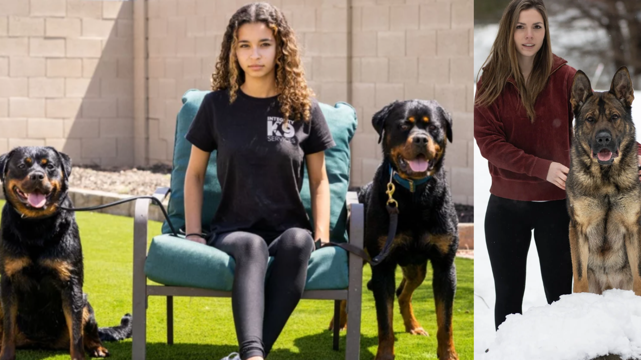 3 Best Dog Breeds for Women Safety