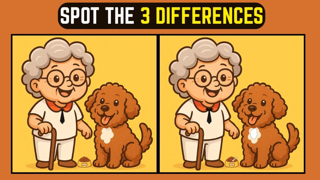 8-Second Challenge: Spot the 3 Differences in the Grandma and Dog Image