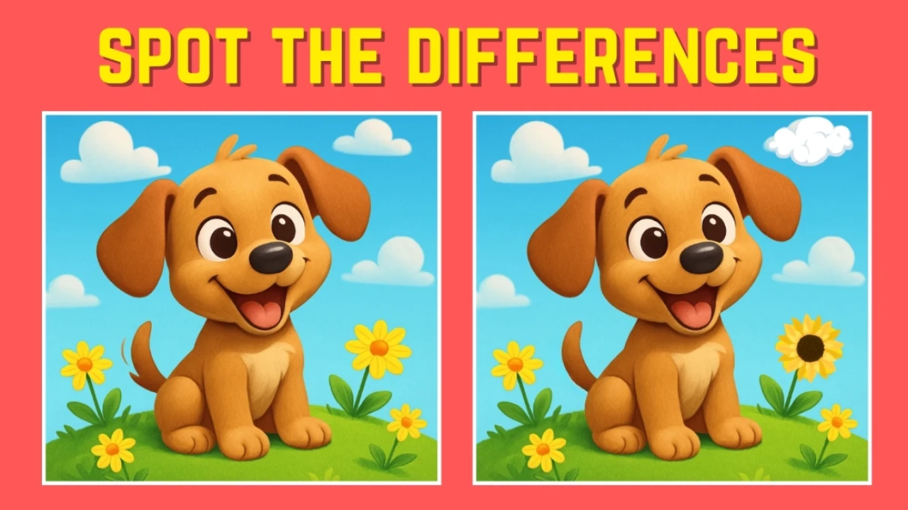 spot the diffrence in the dog picture