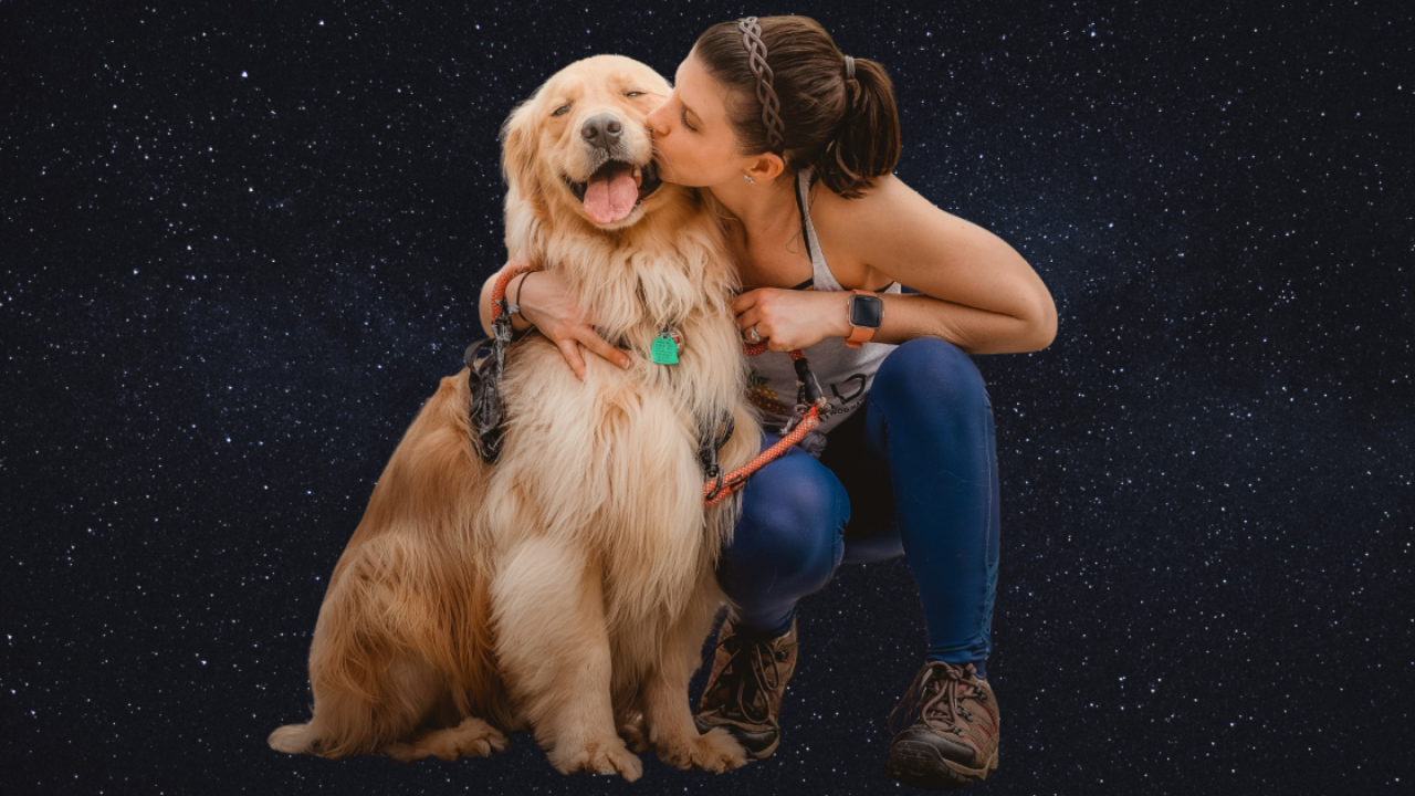 The 4 Birth Months That Make the Best Dog Parents