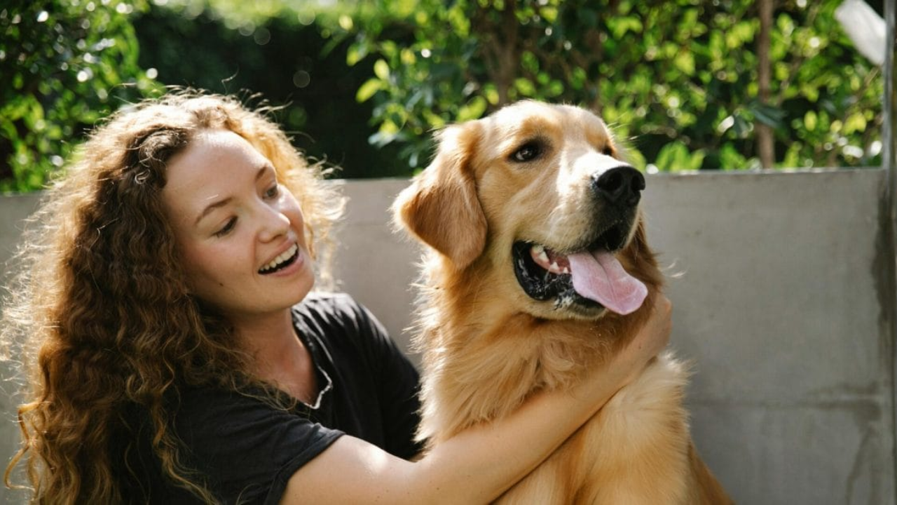 10 Most Loyal Dog Breeds in the World