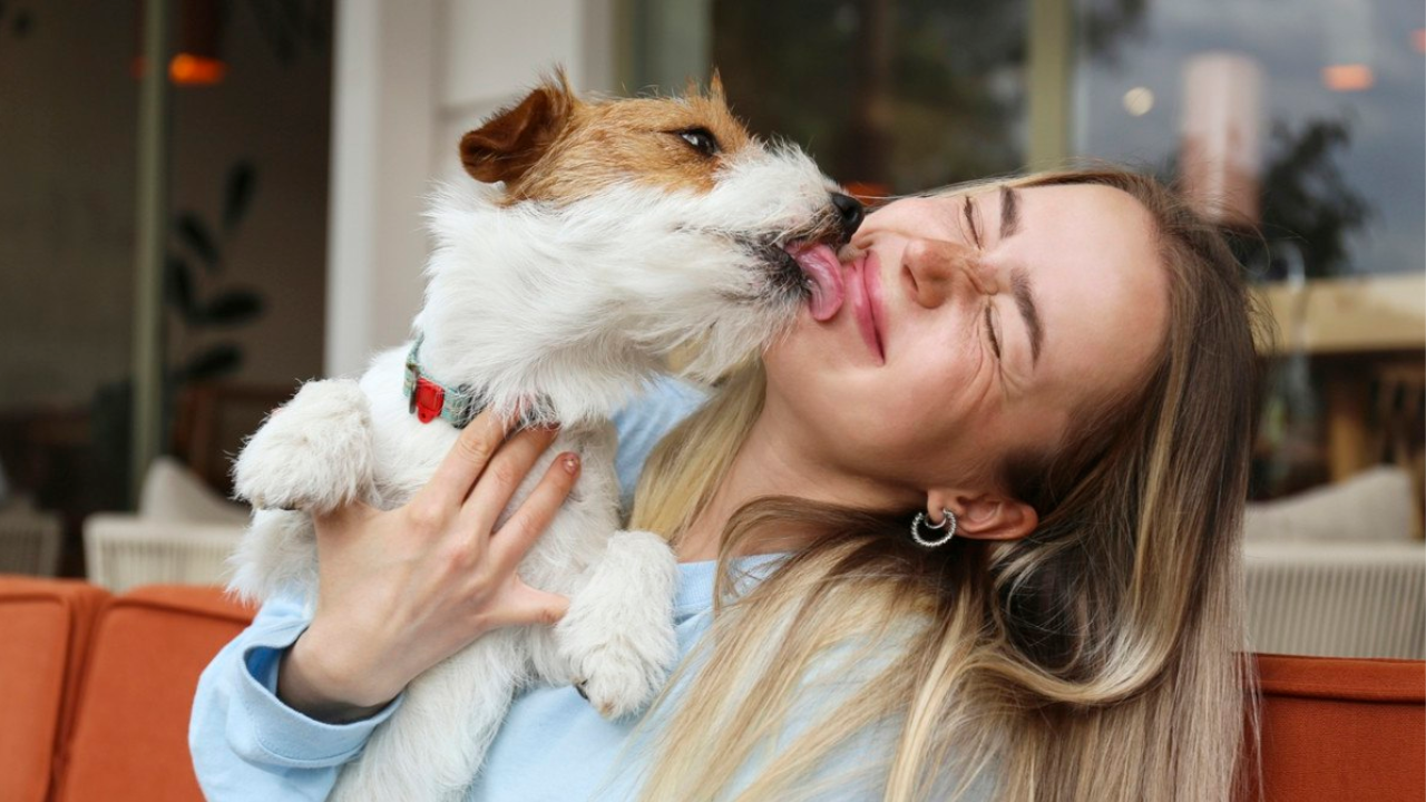 7 Signs You Have an Unbreakable Bond with Your Dog, According to a Trainer